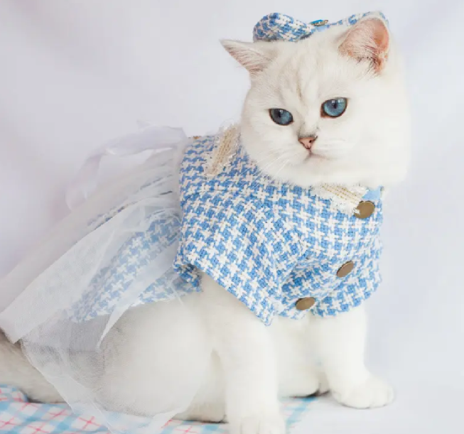 catdress