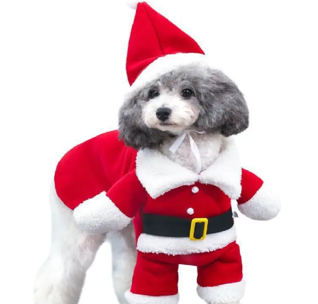 petchristmas