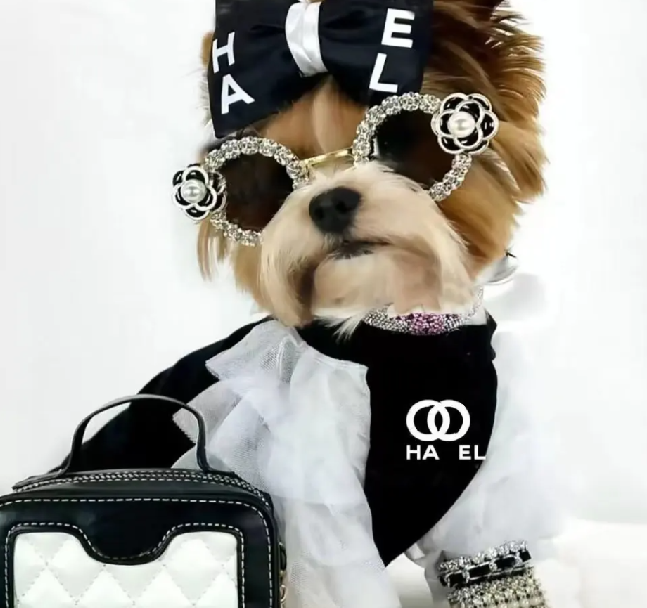 petsuglass